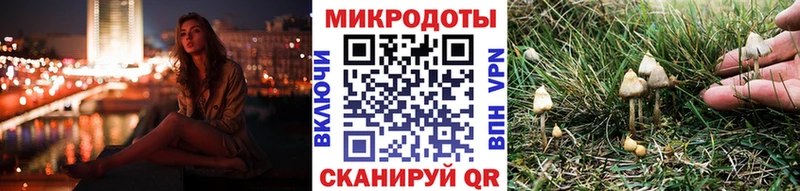 Псилоцибиновые грибы MAGIC MUSHROOMS  Купить  Венёв 