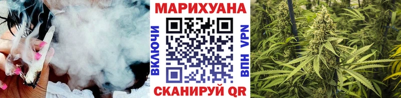 Купить закладки  Венёв  Конопля сатива 